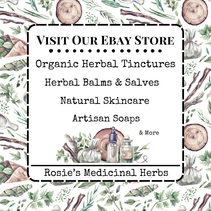 Focus Memory & Concentration | Organic Herbal Extract Tincture | Learning | ADHD
