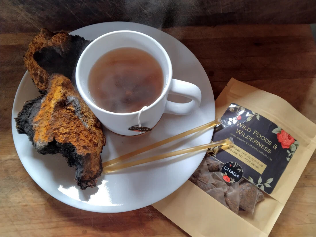 PURE CHAGA TEA: 1 Month of FULL BODY IMMUNITY, Harvested from the Adirondacks
