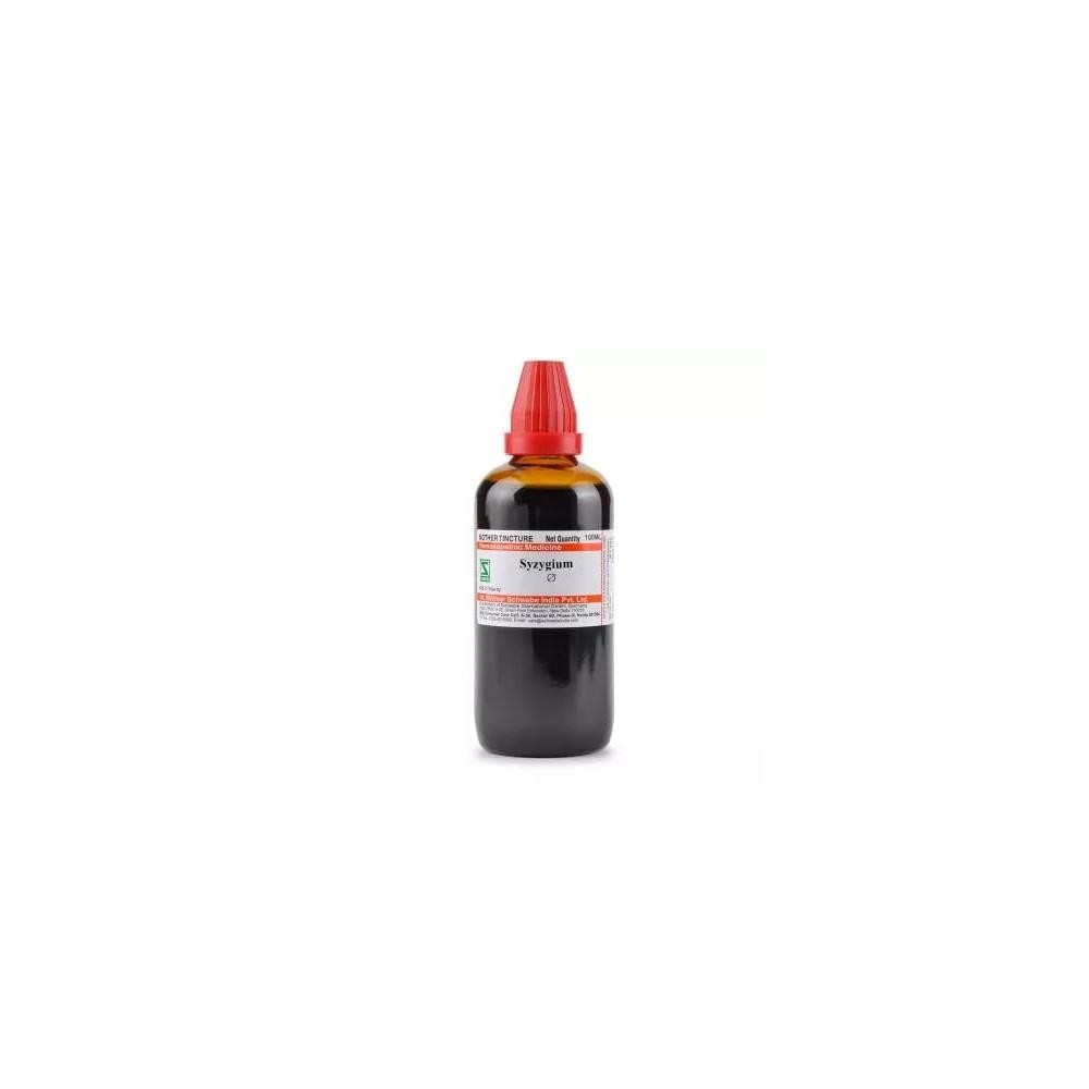 Dr Willmar Schwabe India Syzygium Jambolanum Q 100 ML || Mother Tincture