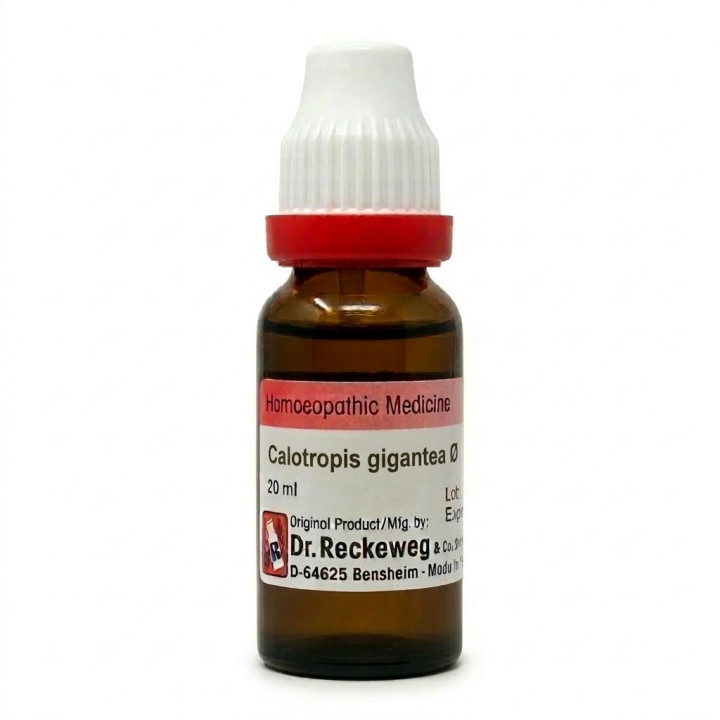 Dr. Reckeweg Calotropis gigantea Q Mother Tincture 20ml Pack of 2 FREE SHIPPING