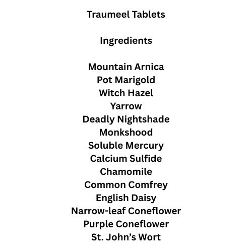 Traumeel S Heel 250 Tablets | Anti Inflammatory Pain Relief – Ships from USA