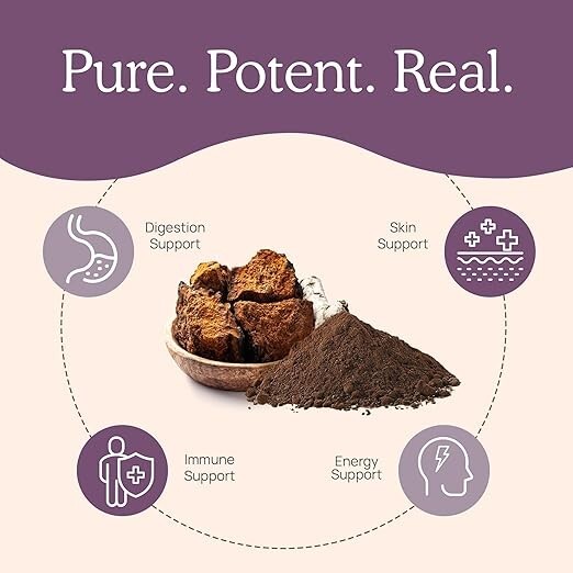PURE CHAGA TEA: 1 Month of FULL BODY IMMUNITY, Harvested from the Adirondacks