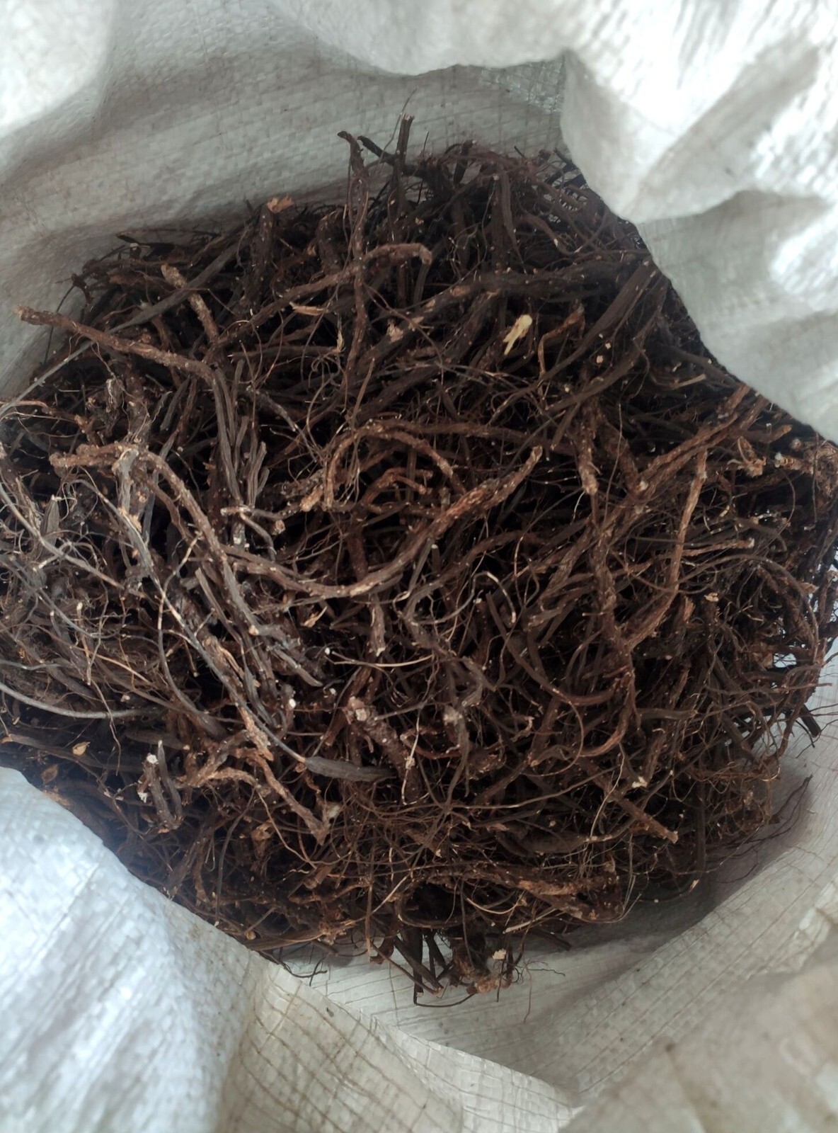 Potentilla Alba ( White Cinquefoil ) Root, ORGANIC from Carpathian mountain.