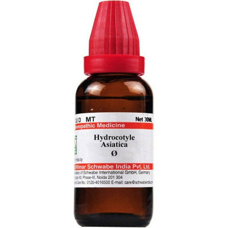 WILLMAR SCHWABE INDIA HYDROCOTYLE ASIATICA 1X (Q) (30ml) Homeopathic Remedies