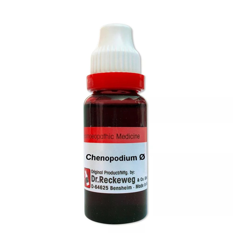 Dr. Reckeweg Germany Homeopathy Chenopodium 1X Mother Tincture Q (20ml)