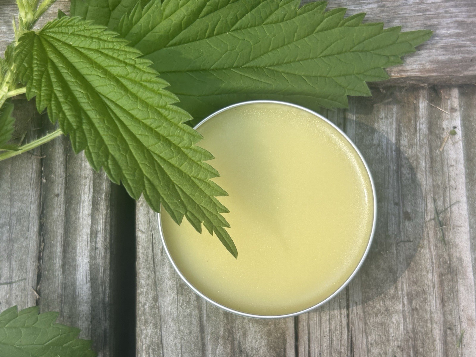 Stinging Nettle Muscle Rub Natural Pain Relief Balm