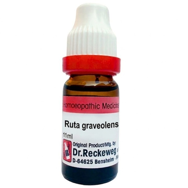 Dr. Reckeweg Ruta G 3X 6X 30CH 200CH 1M 10M 50M CM Dilutions 11ml FREE SHIPPING