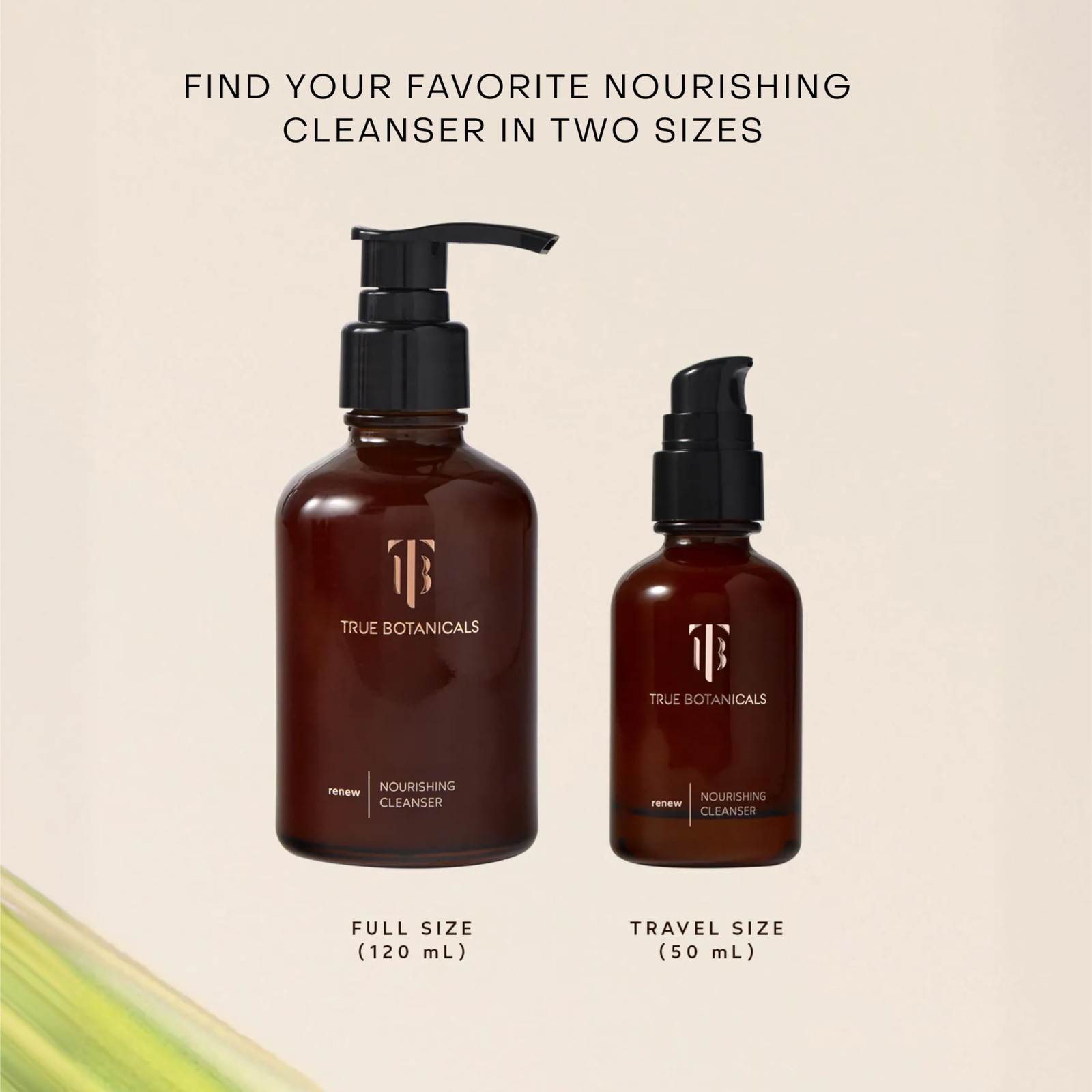 True Botanicals Renew Nourishing Cleanser | Gently 4 Fl Oz (Pack of 1), cream