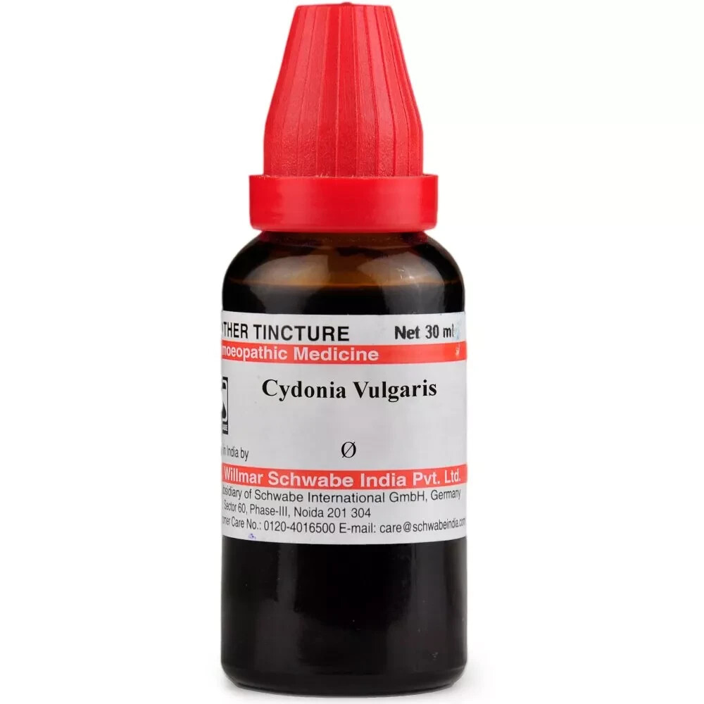 2 X 30ml Dr Willmar Schwabe Cydonia Vulgaris Mother Tincture Q For Men
