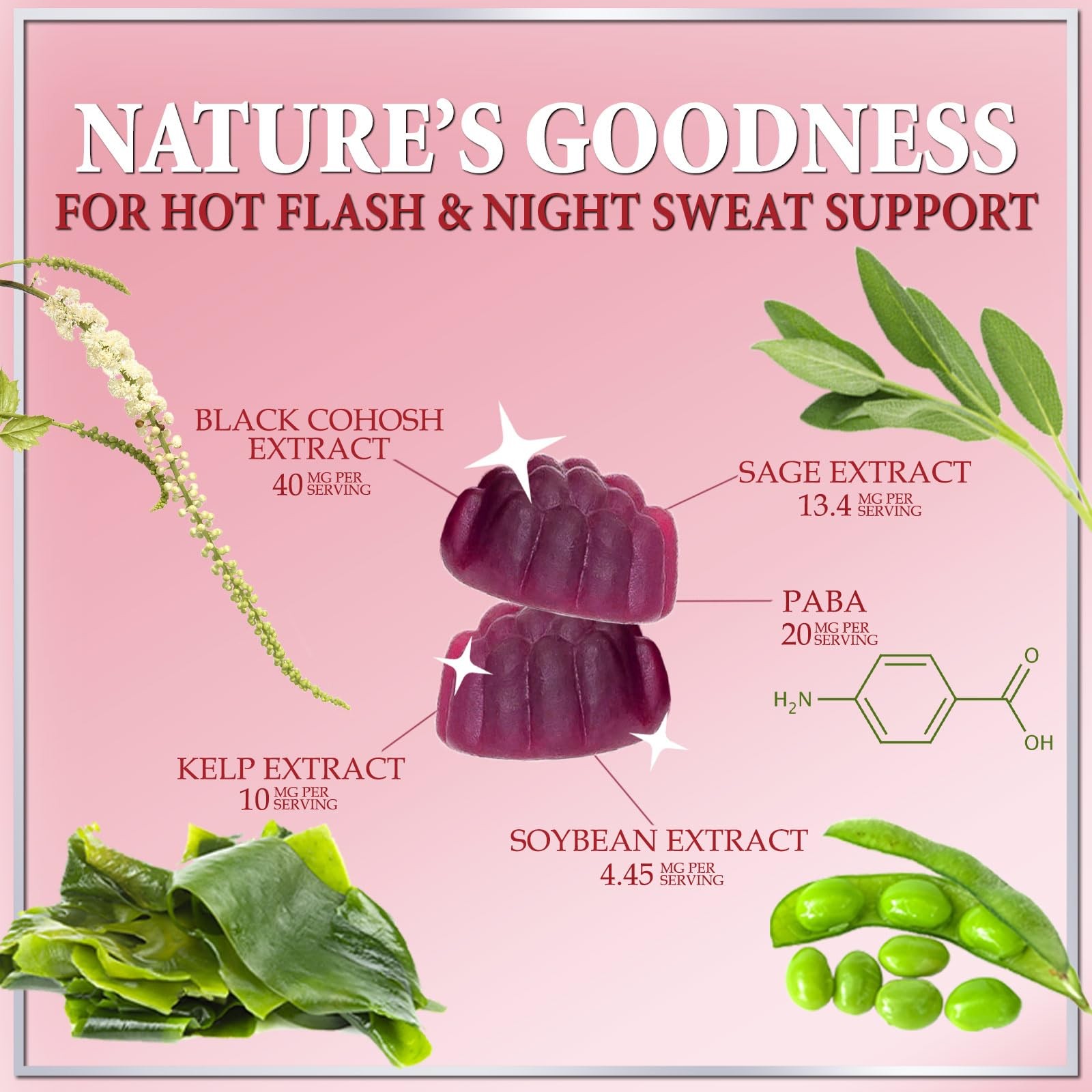 Menopause Supplement Gummies – Women’s Relief 60 Count (Pack of 1)