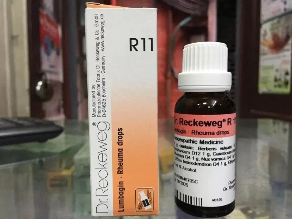 Dr. Reckeweg R11 Joint & Muscle Pain Relief Drops 22ml | Pack of 3 | Free ship