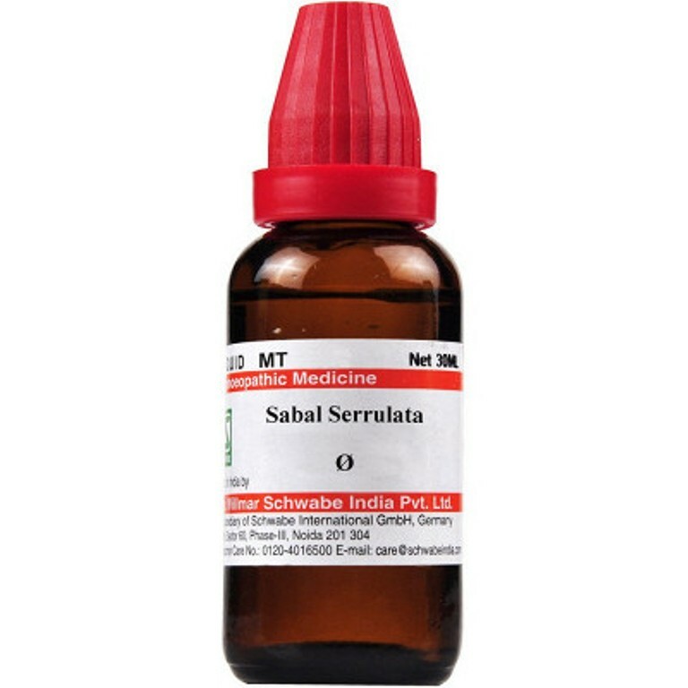 WILLMAR SCHWABE INDIA SABAL SERRULATA 1X (Q) (30ml) Homeopathic Remedies