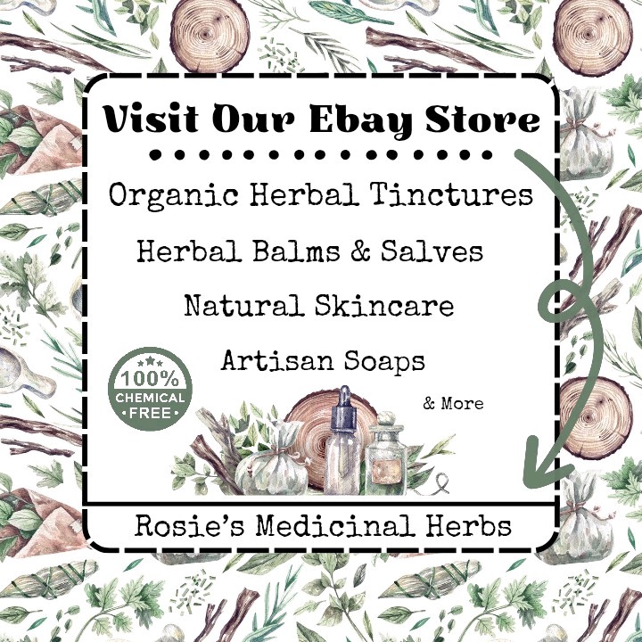 Stomach & Nausea Relief | Organic Herbal Extract Tincture | GERD | Ulcer | Gas