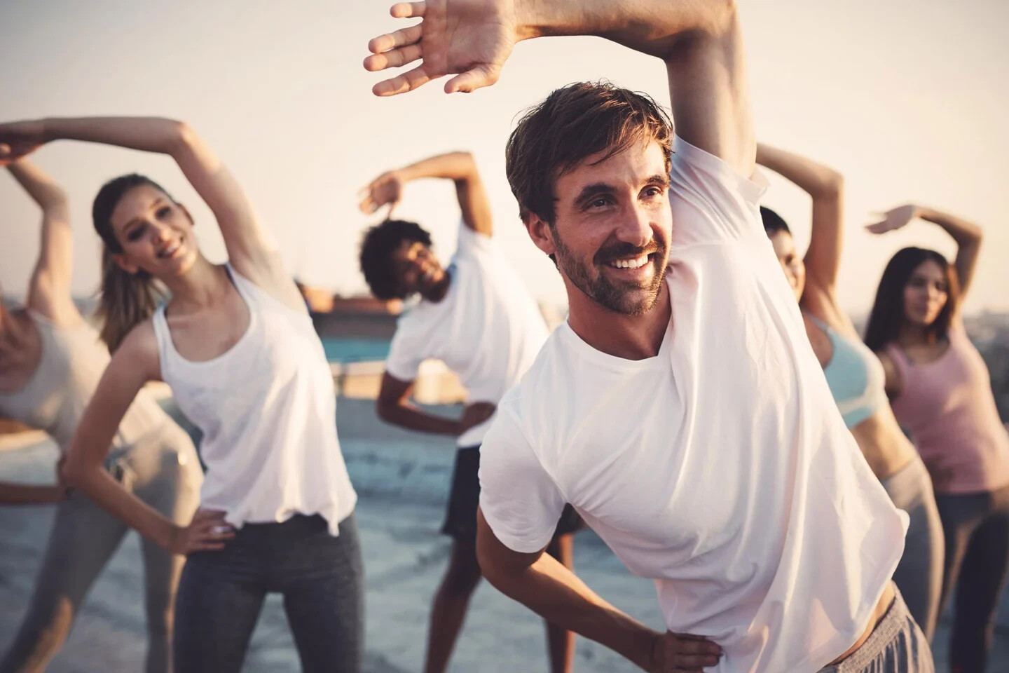 Endothelial Function Optimization – HAWTHORN BERRY COMPLEX – Blood Vessel Health
