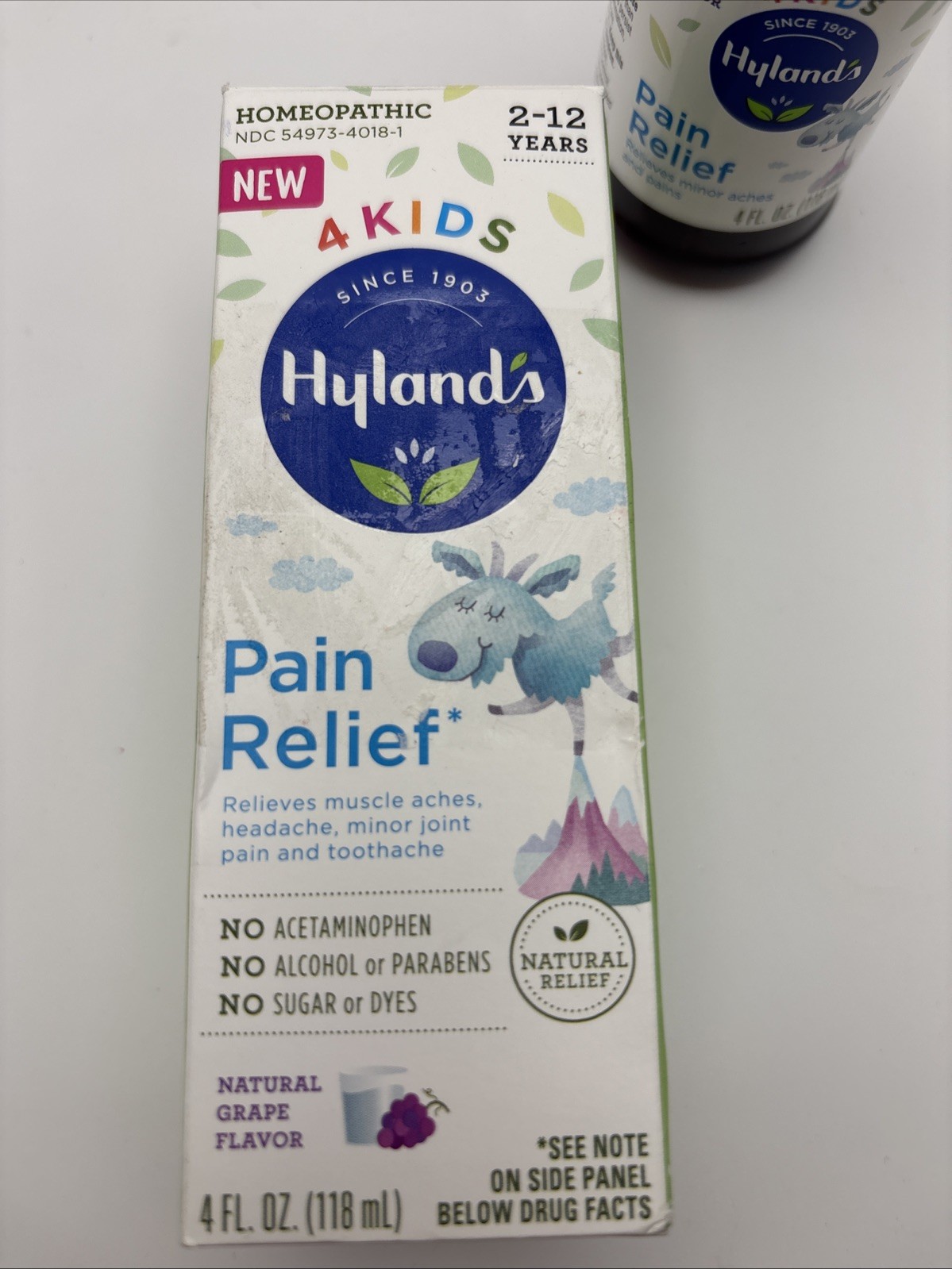 Hyland’s 4 Kids Homeopathic Pain Relief Liquid Grape Flavor 4 fl oz Discontinued