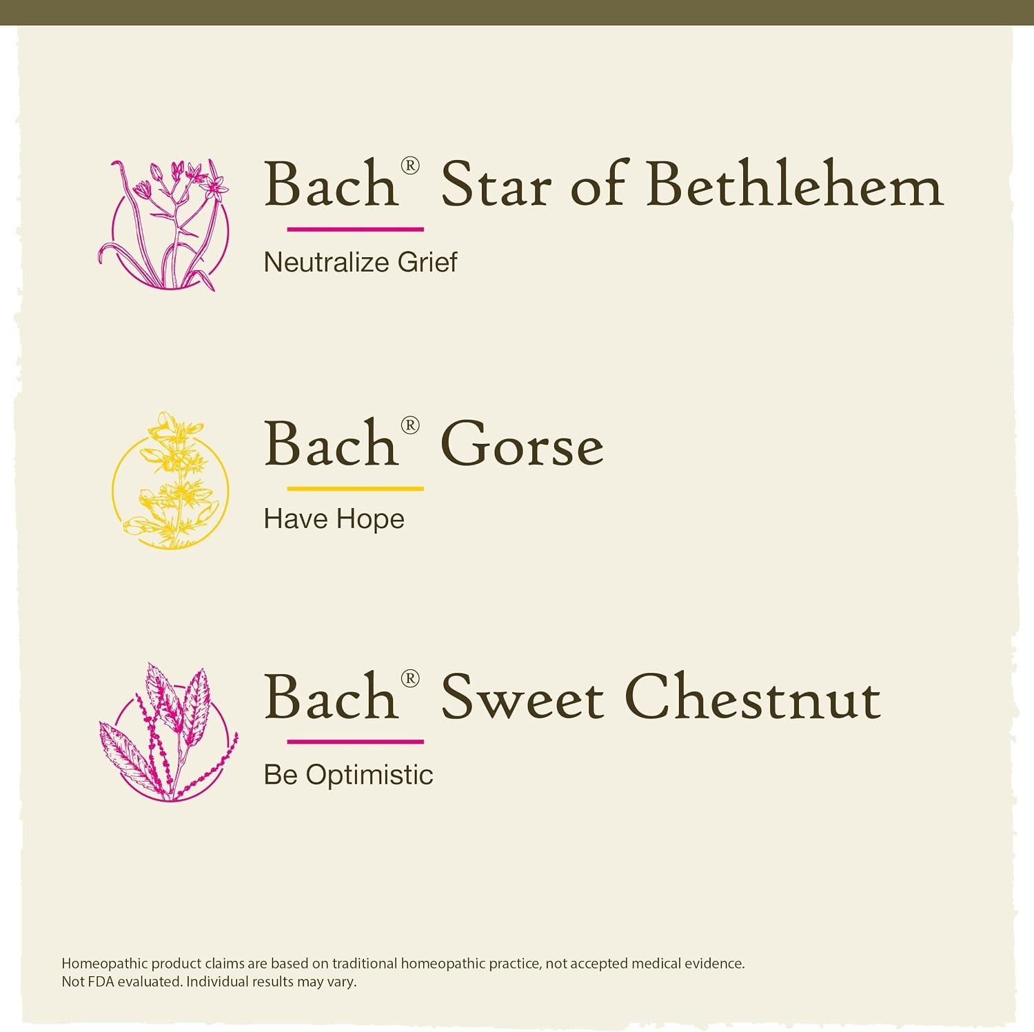Flower Remedies Kit 3 x 20mL Hope & Joy Bach Homeopathic Natural