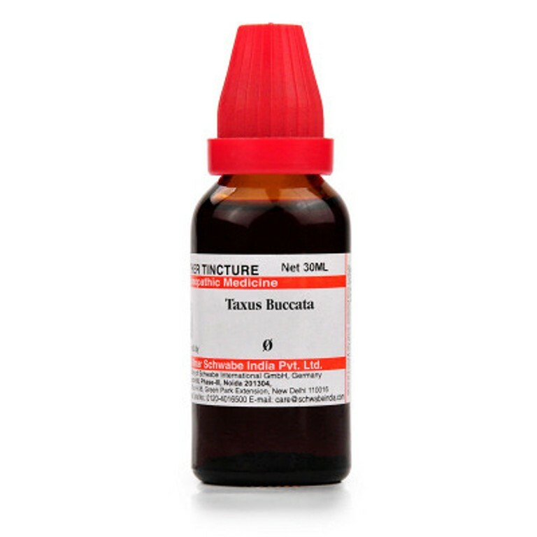 Willmar Schwabe India Taxus Buccata 1X (Q) (30ml)