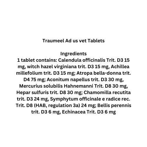Traumeel T Homeopathic 100 Tablets  for Dogs Cats  Ships US