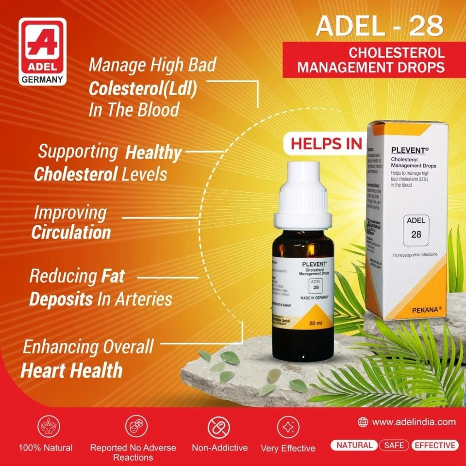 ADEL 28 Cholesterol Drops Pack of 6 Natural Homeopathic Remedy for Heart Health