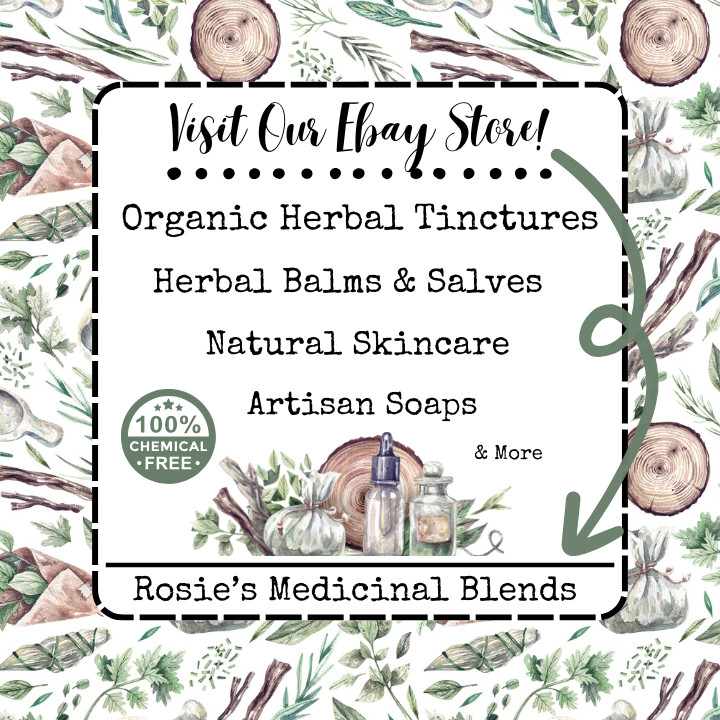 ORGANIC OOLONG TEA TINCTURE | Metabolism | Antioxidant | Skin | Health | Energy